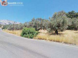 Αγροτεμάχια 1.653 τ.μ. για πώληση, Ν. Σάμου, Σάμος-thumb-2