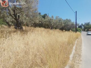 Αγροτεμάχια 1.653 τ.μ. για πώληση, Ν. Σάμου, Σάμος-thumb-3