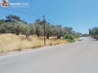 Αγροτεμάχια 1.653 τ.μ. για πώληση, Ν. Σάμου, Σάμος-thumb-4