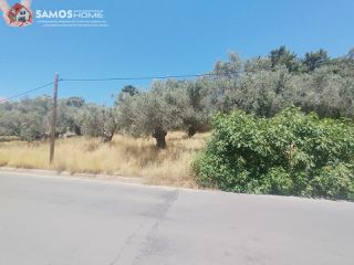 Αγροτεμάχια 1.653 τ.μ. για πώληση, Ν. Σάμου, Σάμος-thumb-5