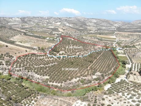 Land plot 97.000sqm for sale-Heraclion Cretes » Skalani