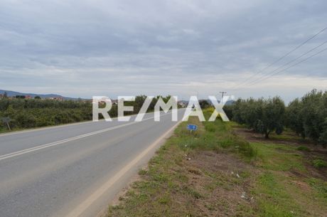 Οικόπεδο 1.640 τ.μ. για πώληση