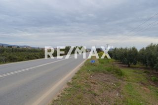 Οικόπεδο 1.425 τ.μ. για πώληση