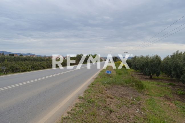 Land plot 1.425 sqm for sale, Chalkidiki, Poligiros