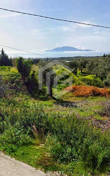 Οικόπεδο 1.830 τ.μ. προς πώληση, Πολιτικά
