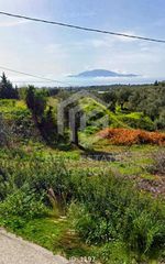 Οικόπεδο 1.830 τ.μ. για πώληση
