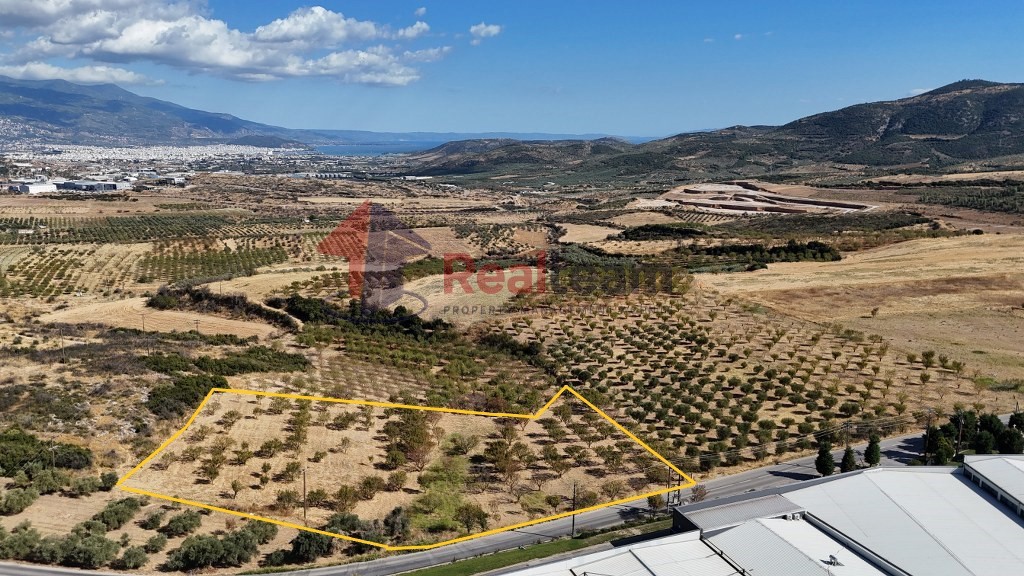 Αγροτεμάχια 8.900 τ.μ. προς πώληση, Σέσκλο