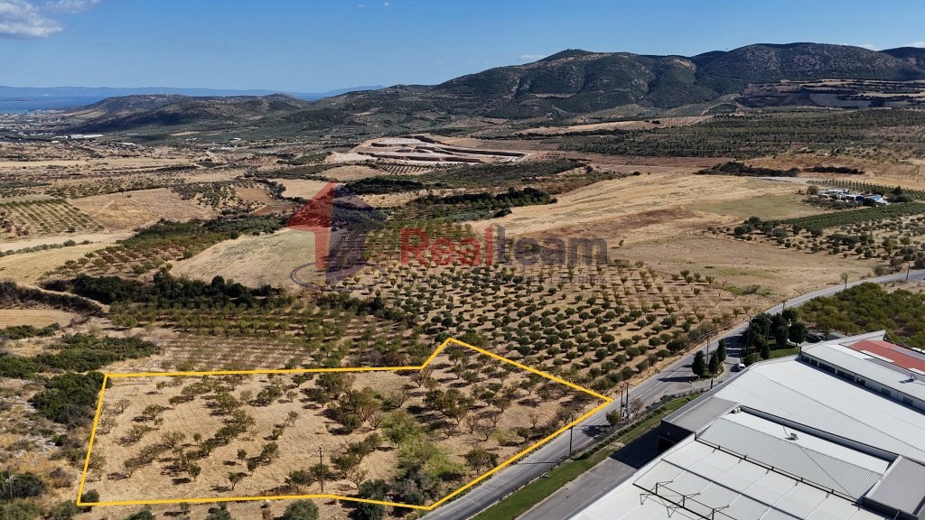 Αγροτεμάχια 8.900 τ.μ. προς πώληση, Σέσκλο
