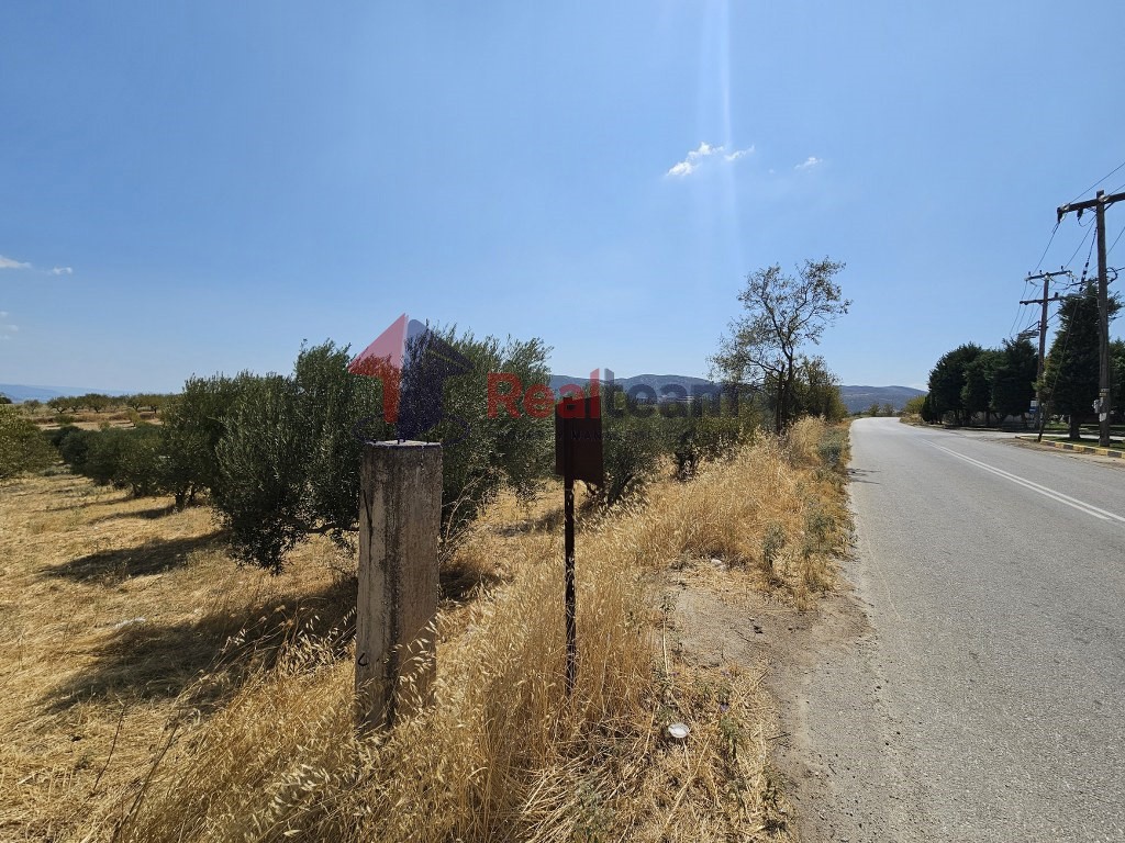 Αγροτεμάχια 8.900 τ.μ. προς πώληση, Σέσκλο