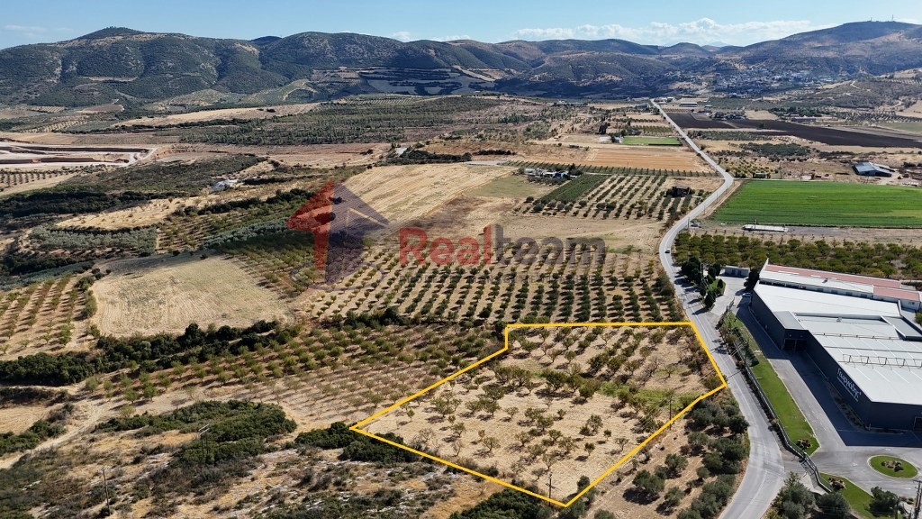 Αγροτεμάχια 8.900 τ.μ. προς πώληση, Σέσκλο