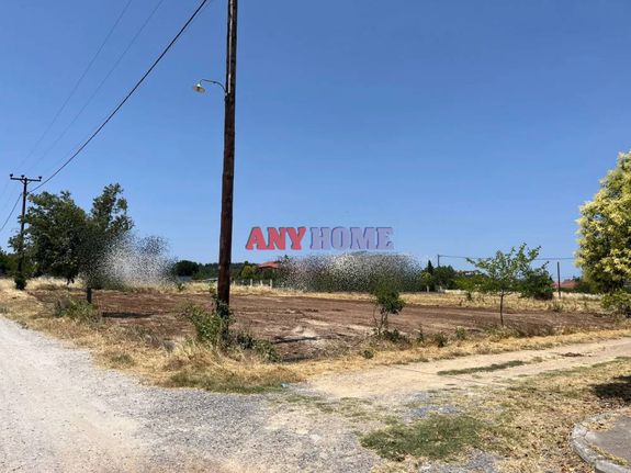 Οικόπεδο 1.531 τ.μ. για πώληση, Πέλλα, Πέλλα