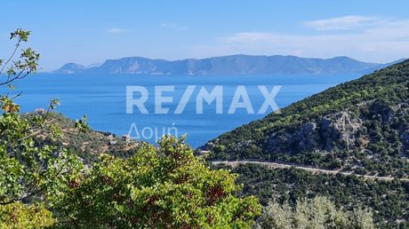 Αγροτεμάχια 8.100τ.μ. για πώληση-Σκόπελος » Χώρα