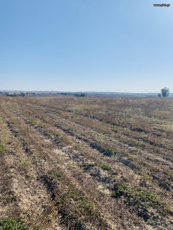 Αγροτεμάχια 6.500 τ.μ. πρός πώληση, Θεσσαλονίκη - Περιφ/Κοί Δήμοι, Επανομή