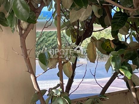 Διαμέρισμα 45τ.μ. για ενοικίαση-Ραφήνα » Κέντρο