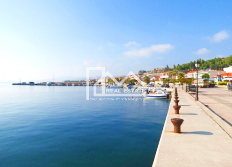 Οικόπεδο 1.300 τ.μ. προς πώληση, Νέα Σκιώνη