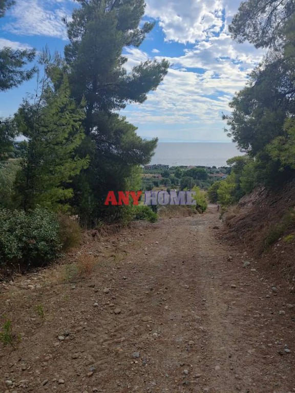 Οικόπεδο 4.100 τ.μ. προς πώληση, Νέα Σκιώνη