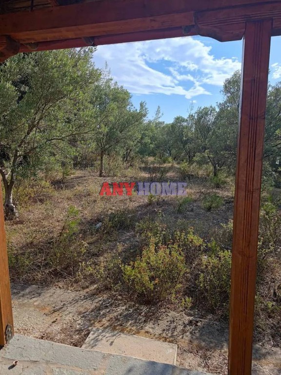 Οικόπεδο 4.100 τ.μ. προς πώληση, Νέα Σκιώνη