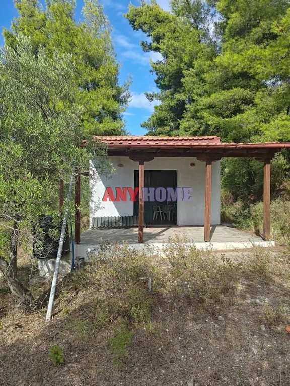 Οικόπεδο 4.100 τ.μ. προς πώληση, Νέα Σκιώνη