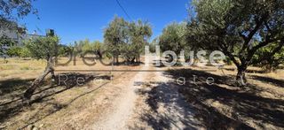 Οικόπεδο 2.171 τ.μ. προς πώληση, Μιντιλόγλι-thumb-8