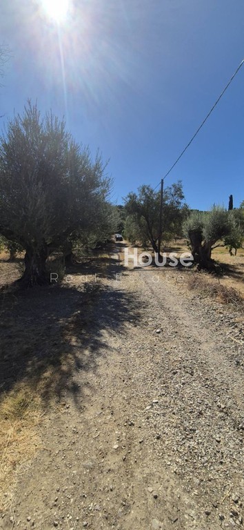 Οικόπεδο 2.171 τ.μ. προς πώληση, Μιντιλόγλι