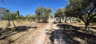 Οικόπεδο 2.171 τ.μ. προς πώληση, Μιντιλόγλι-thumb-6