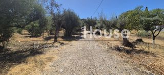 Οικόπεδο 2.171 τ.μ. προς πώληση, Μιντιλόγλι-thumb-2