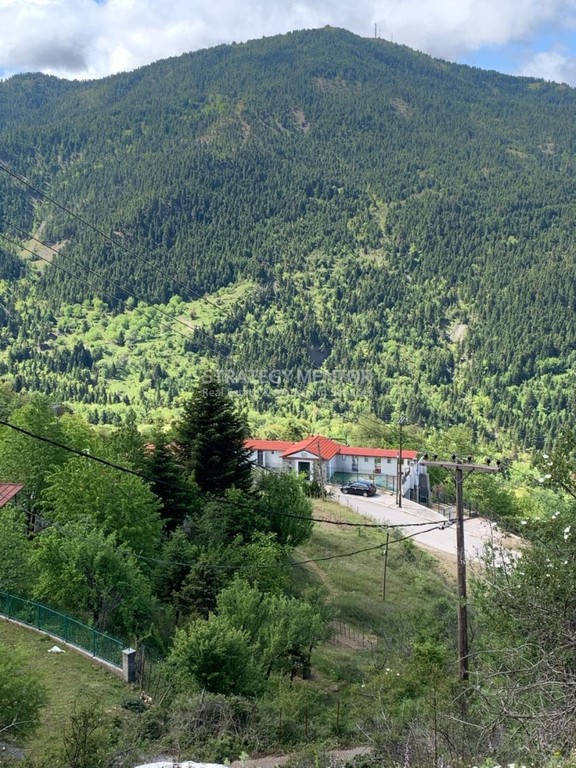Μονοκατοικία 430 τ.μ. πρός πώληση, Ευρυτανία, Δομνίστα