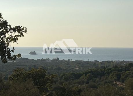 Αγροτεμάχια 14.000τ.μ. για πώληση-Λέσβος - πέτρα