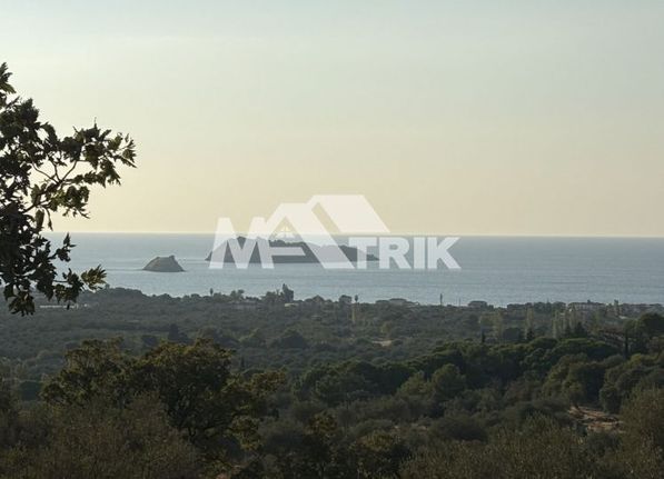Αγροτεμάχια 22.000 τ.μ. για πώληση, Ν. Λέσβου, Λέσβος - Πέτρα