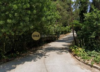 Οικόπεδο 3.000 τ.μ. προς πώληση