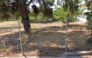 Οικόπεδο 1.300 τ.μ. προς πώληση