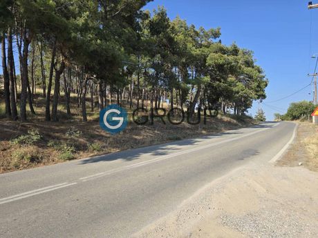 Land plot 3.700sqm for sale-Alexandroupoli » Makri