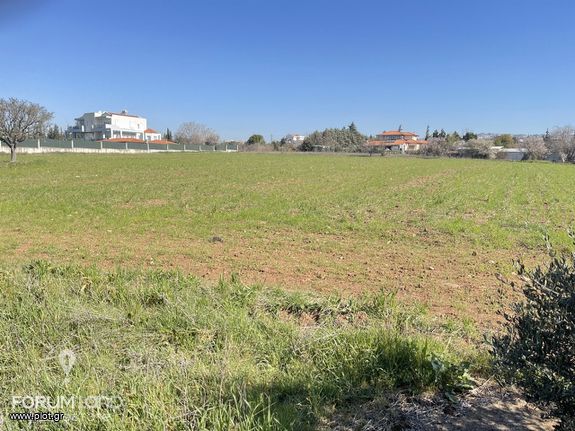 Αγροτεμάχια 7.733 τ.μ. για πώληση, Θεσσαλονίκη - Περιφ/Κοί Δήμοι, Θέρμη