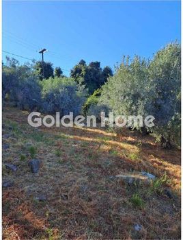 Αγροτεμάχια 1.909 τ.μ. πρός πώληση