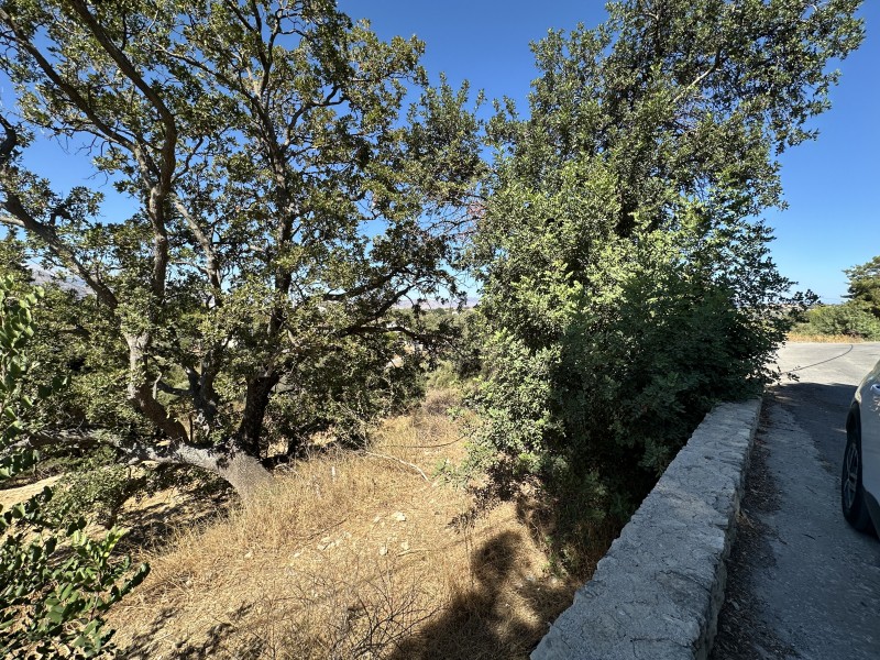 Οικόπεδο 1.250 τ.μ. για πώληση, Ν. Ρεθύμνου, Λάππα
