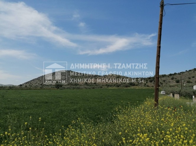 Αγροτεμάχια 7.257 τ.μ. πρός πώληση, Μαγνησία, Βόλος