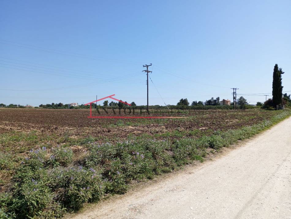 Αγροτεμάχια 9.300 τ.μ. πρός πώληση, Θεσσαλονίκη - Περιφ/Κοί Δήμοι, Επανομή