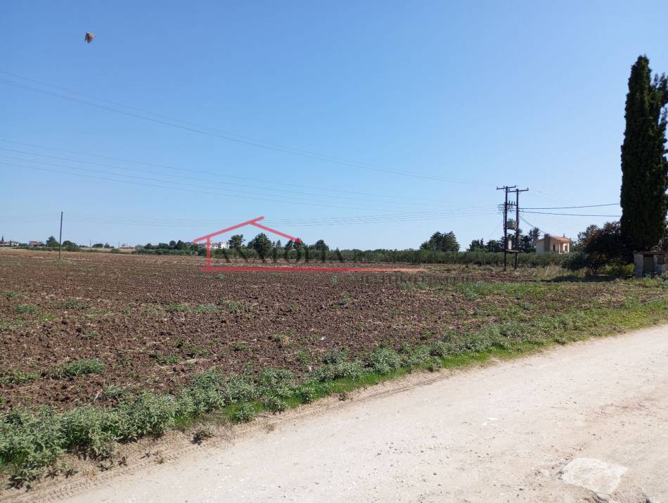 Αγροτεμάχια 9.300 τ.μ. πρός πώληση, Θεσσαλονίκη - Περιφ/Κοί Δήμοι, Επανομή