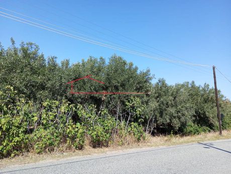 Αγροτεμάχια 4.200 τ.μ. για πώληση