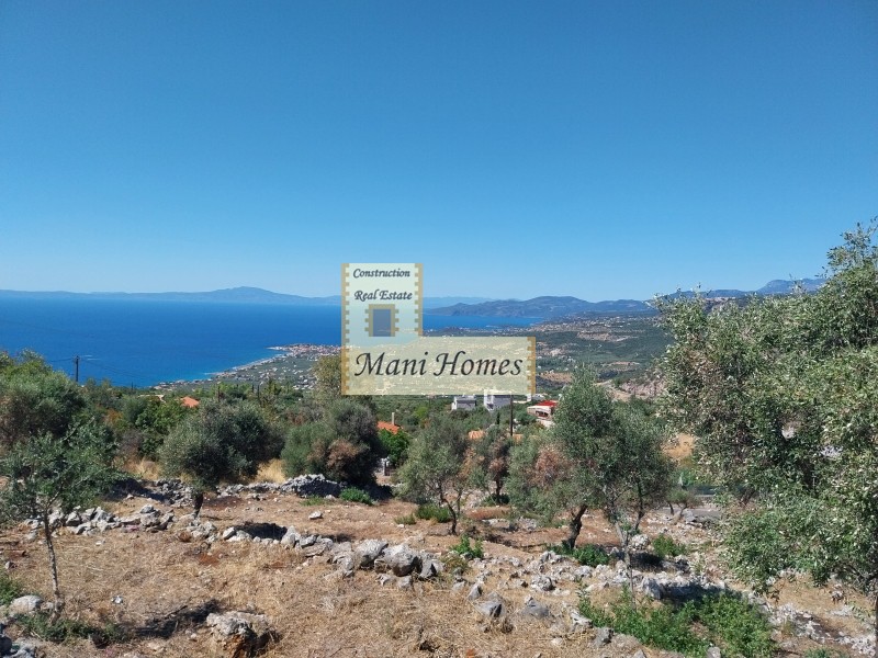 Οικόπεδο 1.165 τ.μ. προς πώληση, Πηγή Λεύκτρου