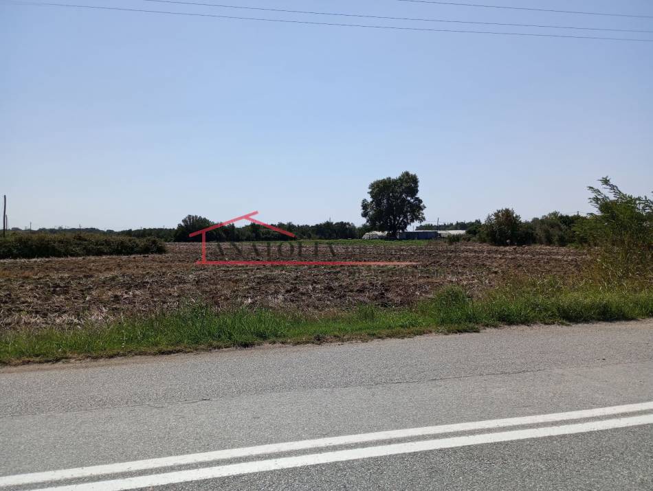 Αγροτεμάχια 11.000 τ.μ. πρός πώληση, Θεσσαλονίκη - Περιφ/Κοί Δήμοι, Επανομή
