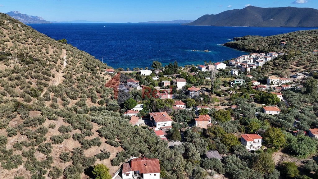 Οικόπεδο 2.865 τ.μ. προς πώληση, Αγία Μαρίνα Πτελεού