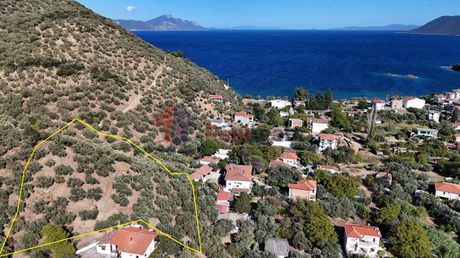 Οικόπεδο 2.865τ.μ. για πώληση-Πτελεός