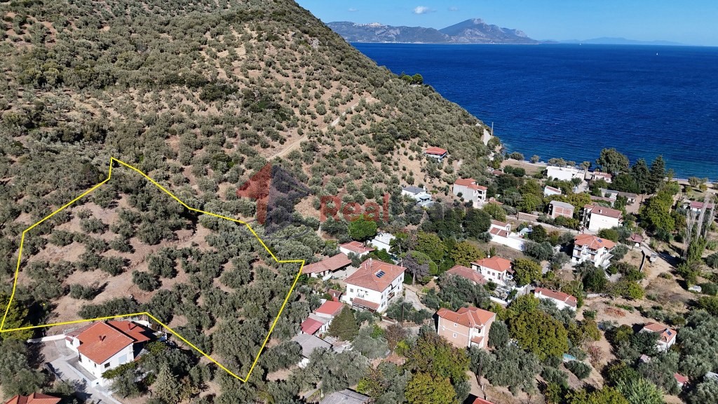 Οικόπεδο 2.865 τ.μ. προς πώληση, Αγία Μαρίνα Πτελεού