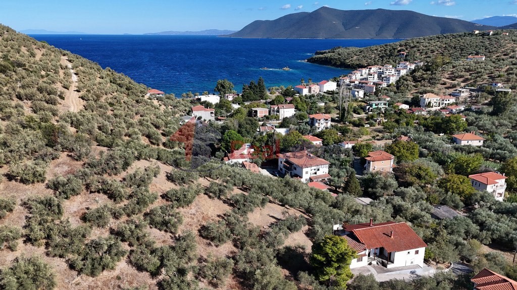Οικόπεδο 2.865 τ.μ. προς πώληση, Αγία Μαρίνα Πτελεού
