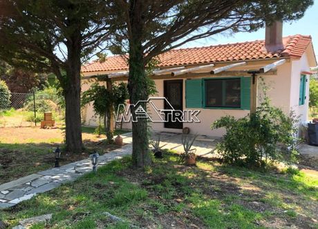 Μονοκατοικία 52τ.μ. για πώληση-Μουδανιά » Νέα ποτίδαια