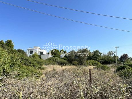 Οικόπεδο 757τ.μ. για πώληση-Μαραθώνας » Σχινιάς