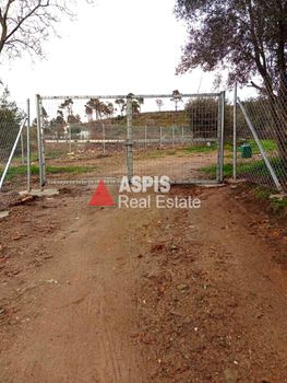 Land plot 1.960sqm for rent-Stamata