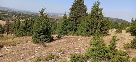 Parcel 17.600 sqm for sale