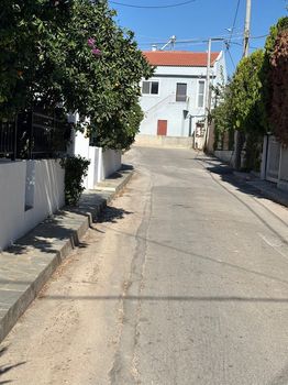 Οικόπεδο 230τ.μ. για πώληση-Σπάτα » Ήμερος πεύκος